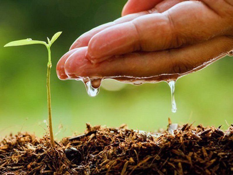 agricultural-science1